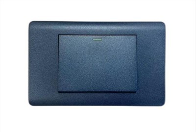 Общий международный переключатель